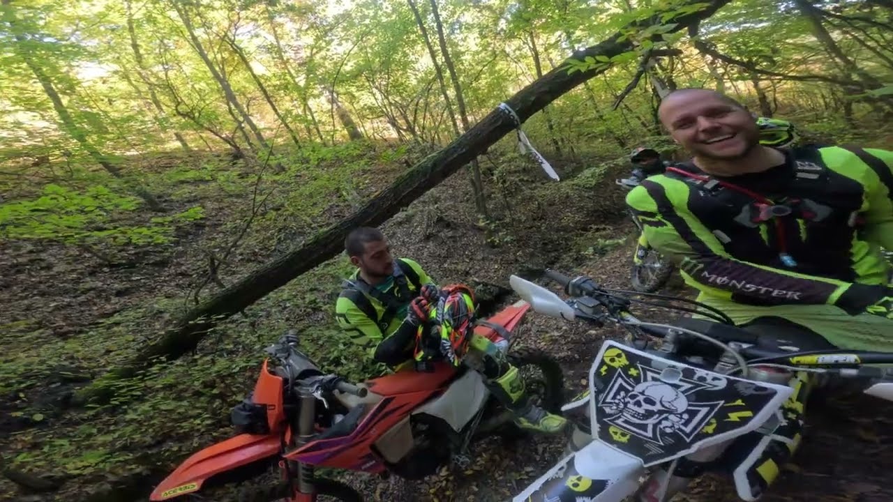 Своге по прото