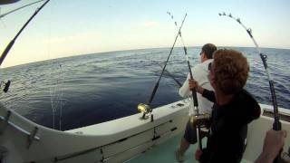 Deep Sea Fishing on board the Wave Runner Oregon Inlet