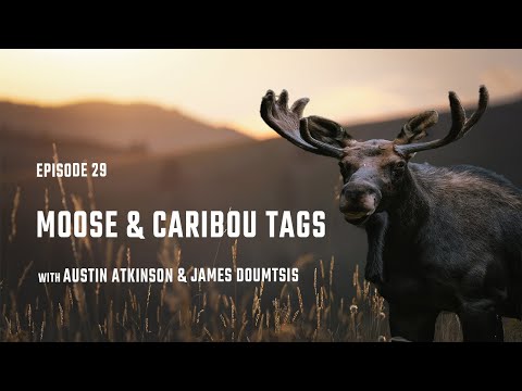 Episode 29 - “Moose & Caribou Hunts” - The Twin Elements Podcast - With Austin Atkinson