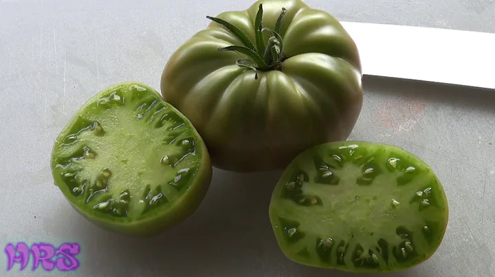 Aunt Ruby's German Green Tomato, Solanum lycopersicum, Tomato Review