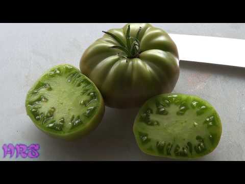 Video: Apa Itu Tomat Hijau Jerman - Pelajari Tentang Tanaman Tomat Hijau Jerman Bibi Ruby