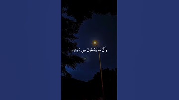أكتب شيء تؤجر عليه |تلاوة مؤثرة جدًا بصوت ماهر المعيقلي |#قرآن