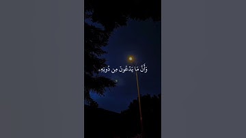 أكتب شيء تؤجر عليه |تلاوة مؤثرة جدًا بصوت ماهر المعيقلي |#قرآن