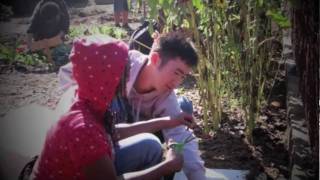 Urban Sprouts: June Jordan Garden Tour