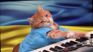 Keyboard Cat Support