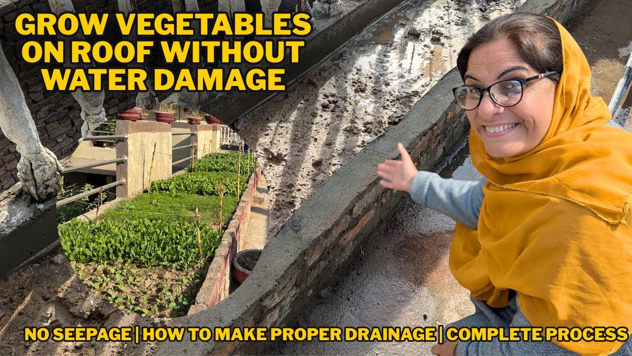 Make flower bed(کیاری)on your roof top