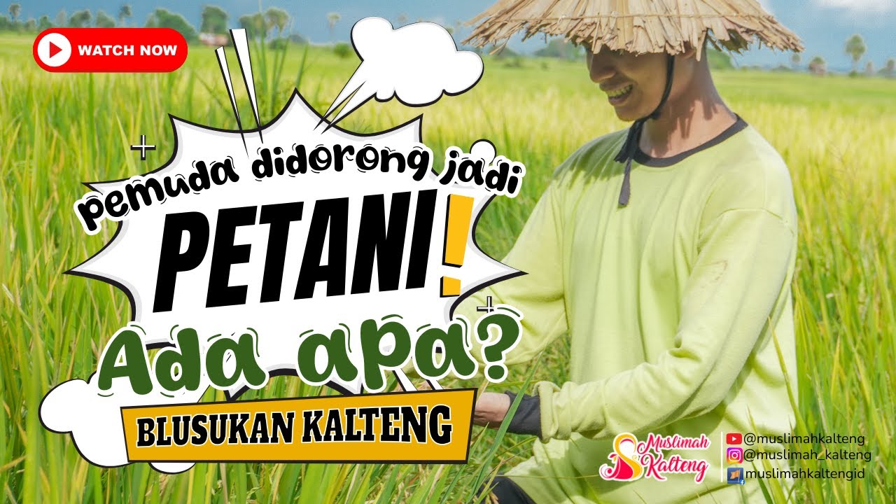 [KALTENG] Pemuda Didorong Jadi Petani, Ada Apa? | Blusukan Muslimah Kalteng