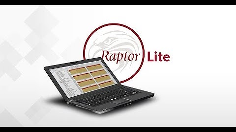 Raptor-Lite | New Eagle