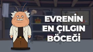 Evrenin En Çılgın Böceği | Böceklerin Gezegeni