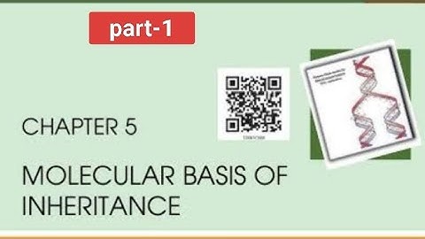 Molecular basis of inheritance |NCERT reading|PART-1 @scienceandfun  @biologyatease