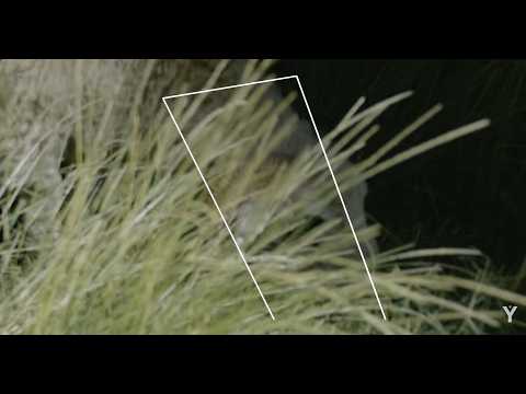 NERO - Izzy N. Griffin [HEIR: VISUALIZER]