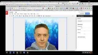 Stop Motion Vector Portrait