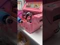 #UVDTFPrinter #PinkPrinter #SmallBusiness #craft #DTFPrinting#DIYBusiness #PinkAesthetic #UVPrinting