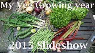 Allotment Diary : My Veg Gardening Year in 100 Photos :  Slideshow 2015