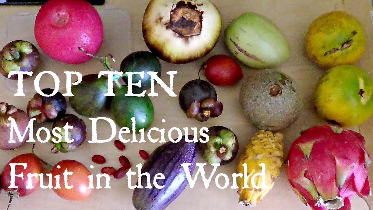 top 10 most delicious fruits - weird fruit explorer ep. 102 - youtube