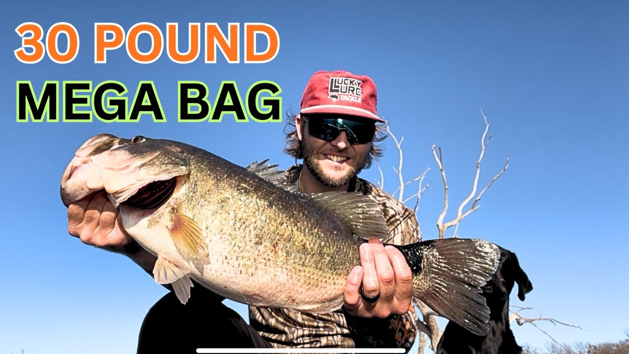 Больше никаких секретов!! Я раздаю сок (мешок 30 фунтов)