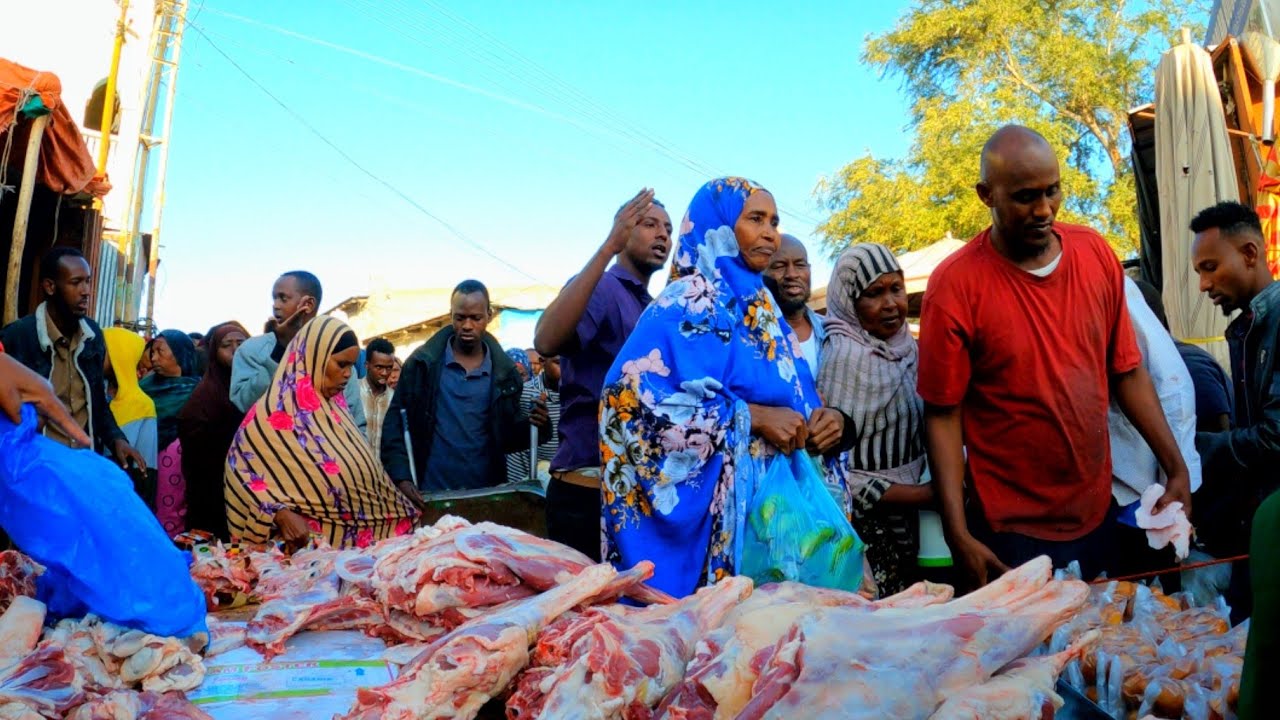 SUUQII WAAHEEN OO DIB ISU CAMIRAY | HARGEISA 2023