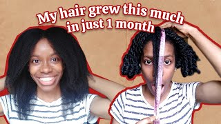 How to GROW your HAIR LONGER each month| hair growth challenge