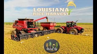 Case IH Equipment Harvesting Rice in Louisiana 4K