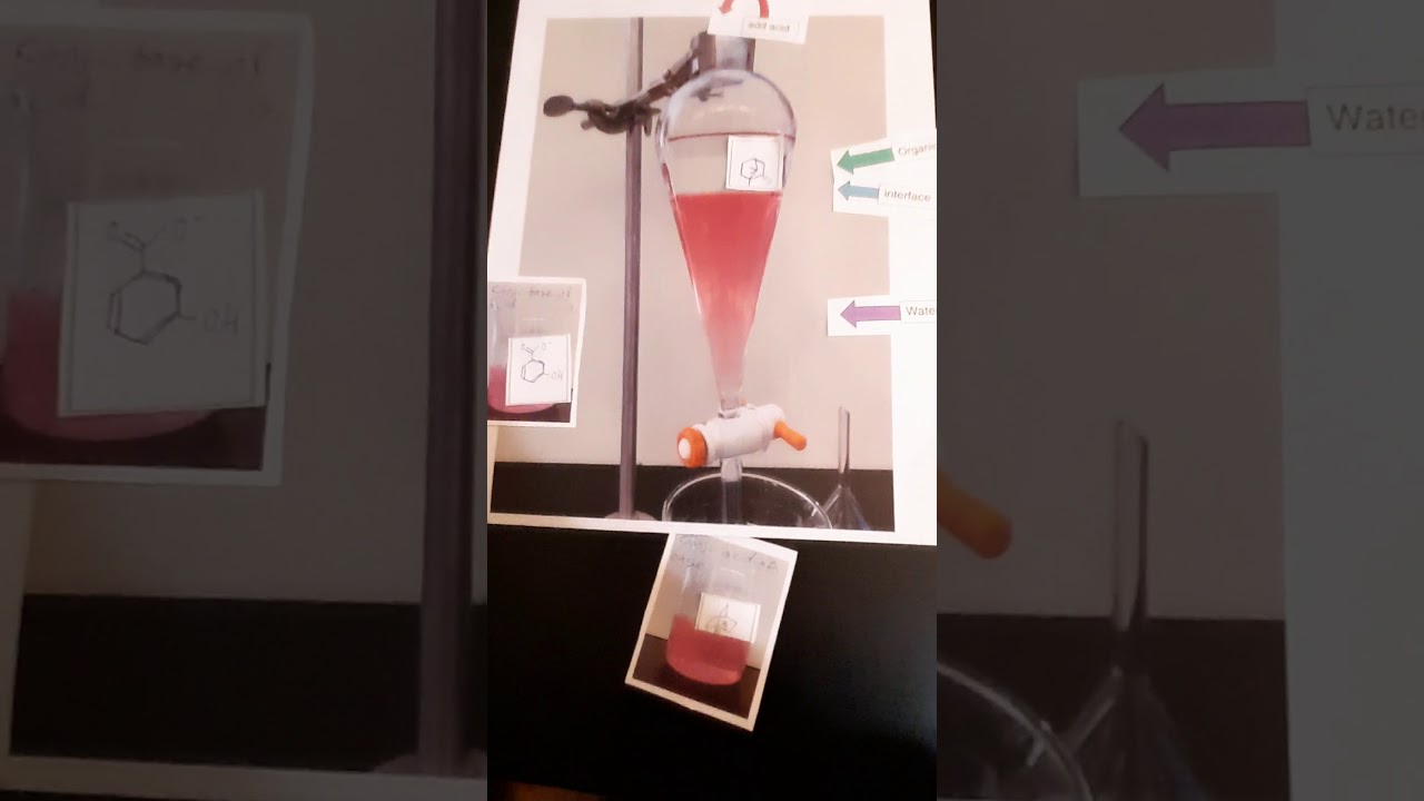 Liquid-liquid Extractions and Acid Base Reactions with Organic Compounds