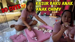 YEE SO CUTE😍..KASUR BARU UNTUK ANAK ANAK CHIMY || Kucing lucu&imut