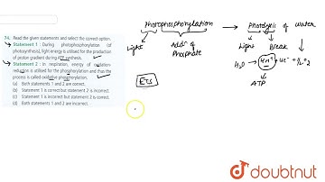 Read the given statements and select the correct option. Statement 1: During photophosphorylatio...