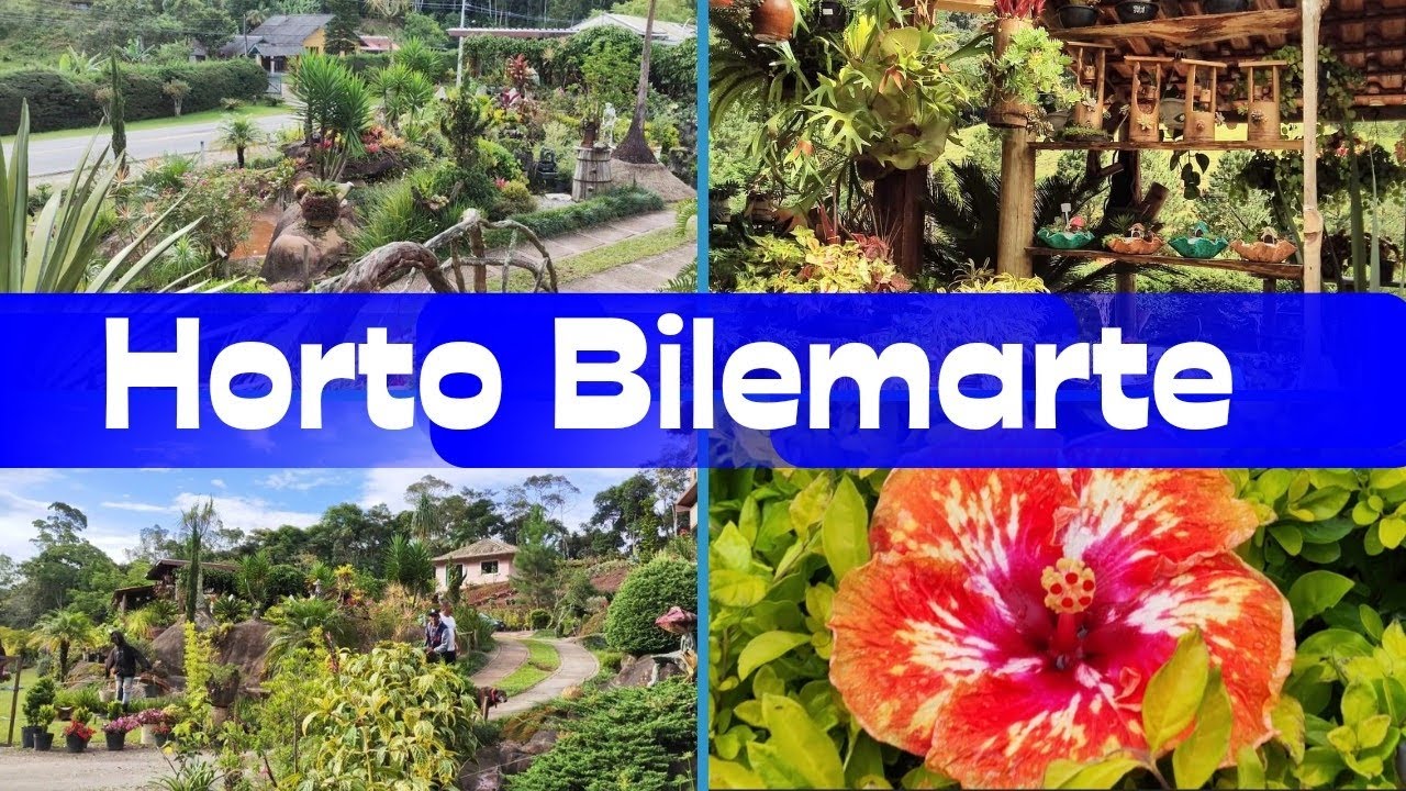 encontrei raridades no Horto Bilemarte - lugar incrível e diferenciado