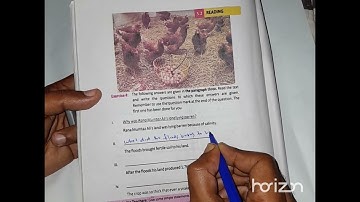 Sindh Text | Class Five | English | Unit 5.2 | Exercise 4