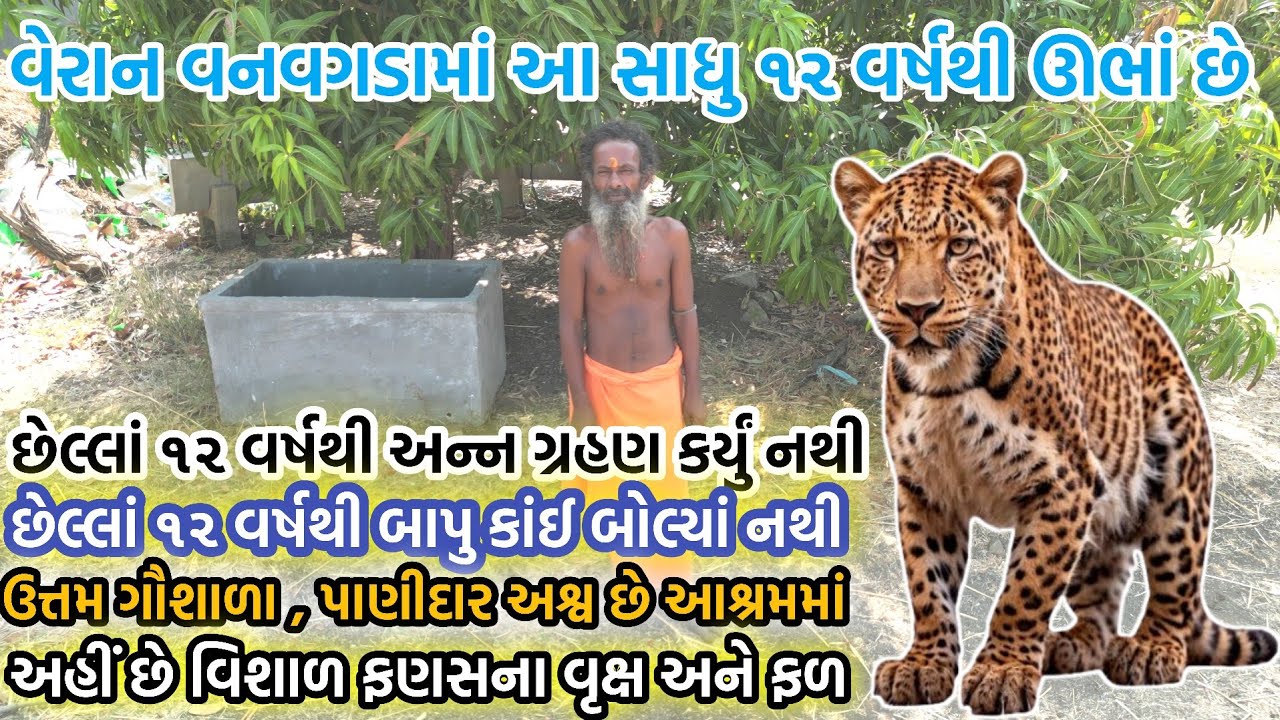 અઘોર વનવગડામાં આ સંત છેલ્લાં ૧૨ વર્ષથી ખડેપગે તપ કરે છે અને મૌન રાખીને અન્ન પણ ત્યાગ કરેલ છે 
