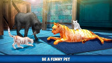 Home Cat City Survival - Lost Kitten Adventure Gameplay Video Android/iOS