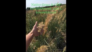 Native grass & CRP establishment, part 1, Iowawhitetail.com