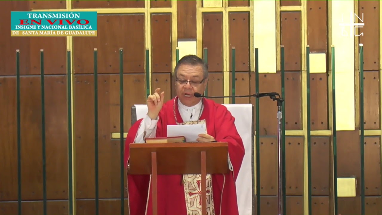 Homily, Holy Mass , May 31, 2020 PENTECOST Trim - YouTube
