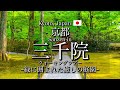 [京都|Kyoto]大原"三千院"を観光｜緑に囲まれた美しい庭園を散策｜"Sanzen-in Temple" Walking Tour(Vlog)