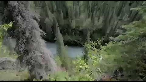 الرقية الشرعية || الشيخ وليد ابوخالد (102) الطب النبوي والرقى الشرعية