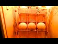 инкубатор для страусиных яиц