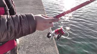 海釣りビギナー向け入門動画 キャスト後の糸フケを取る 和歌山釣太郎 Youtube