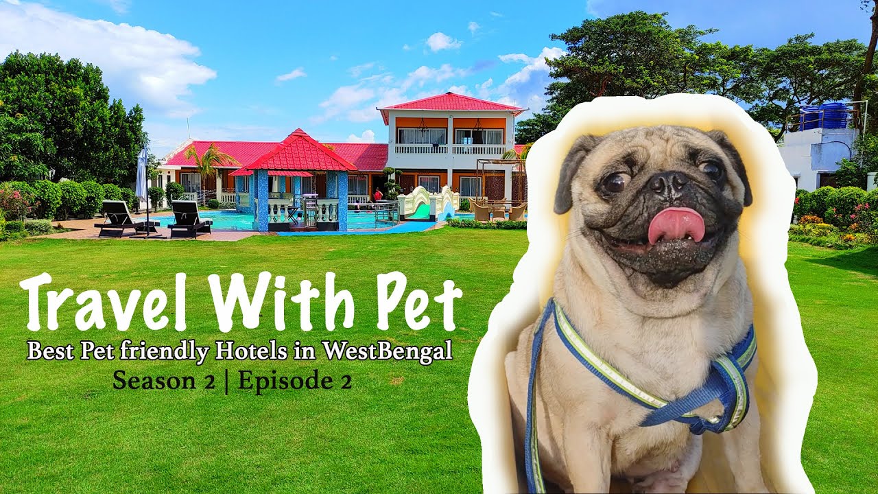 Travel With Pet Season 2 Best Pet Friendly Hotels Best Pet travel-with-pet-season-2-best-pet-friendly-hotels-best-pet