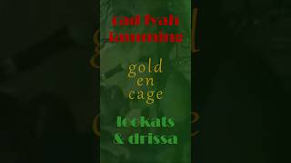 golden cage - lookats &amp; drissa koné #lookats #drissakoné #radfyah
