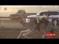 ش 5 دوله لـ سعيد سليم السبيلي الجنيبي 2 11 شارة الصندوق 2026 2 21 فطامين الروضة
