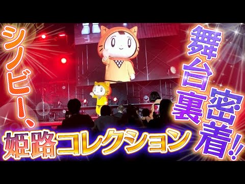 シノビー、大忙しな舞台裏に密着‼〈姫路コレクション〉