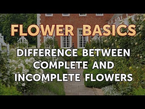 Difference Between Complete and Incomplete Flowers
