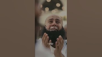القارئ عمر هشام العربي