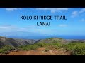 Koloiki Ridge Trail for amazing views hiking in Lanai Hawaii