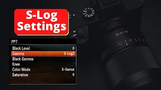 S Log Setting screenshot 2