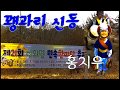 2018년 3월 10일 꽹과리신동 홍지우 {산외면민속한마당축제}풍물공연