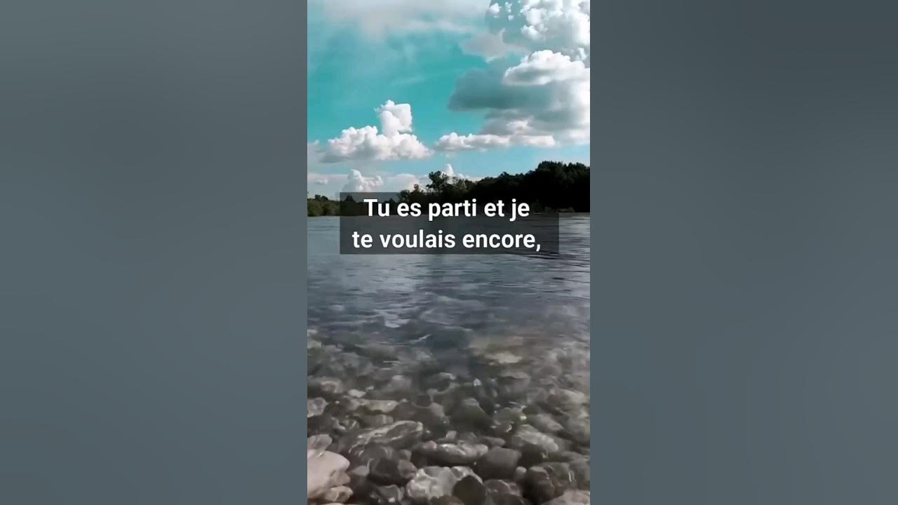 Tu es partis ##motivation #sagesse #youtubeshorts #amour #citations # ...