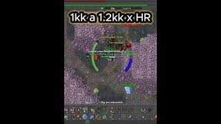 HUNT ED 700+  #gamer #tibia #tibiahunt #tibiabr #tibiaaddicts #tibiammorpg