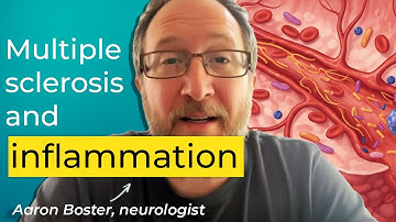 Why You Need to Know About Inflammation if You Have MS