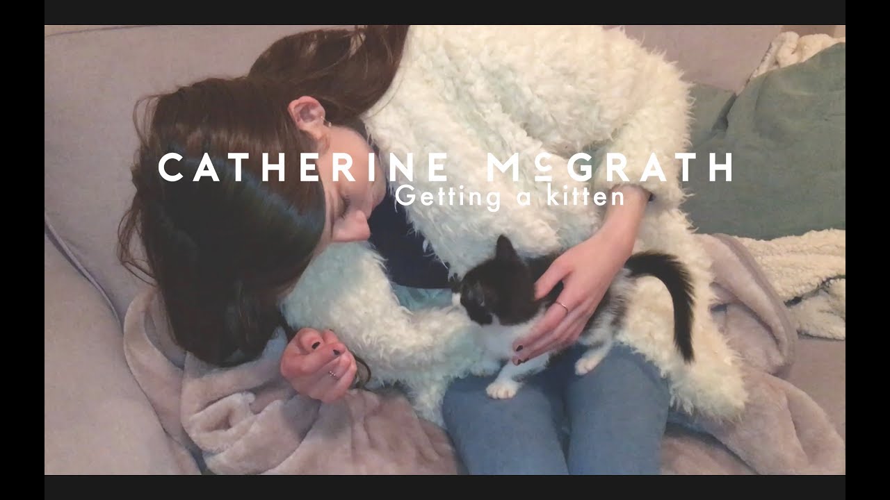 I Got A Kitten Catherine Mcgrath Youtube 