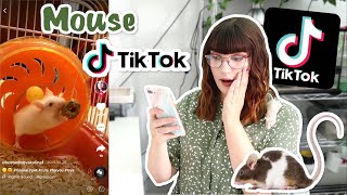 Reacting to Mouse Tik toks